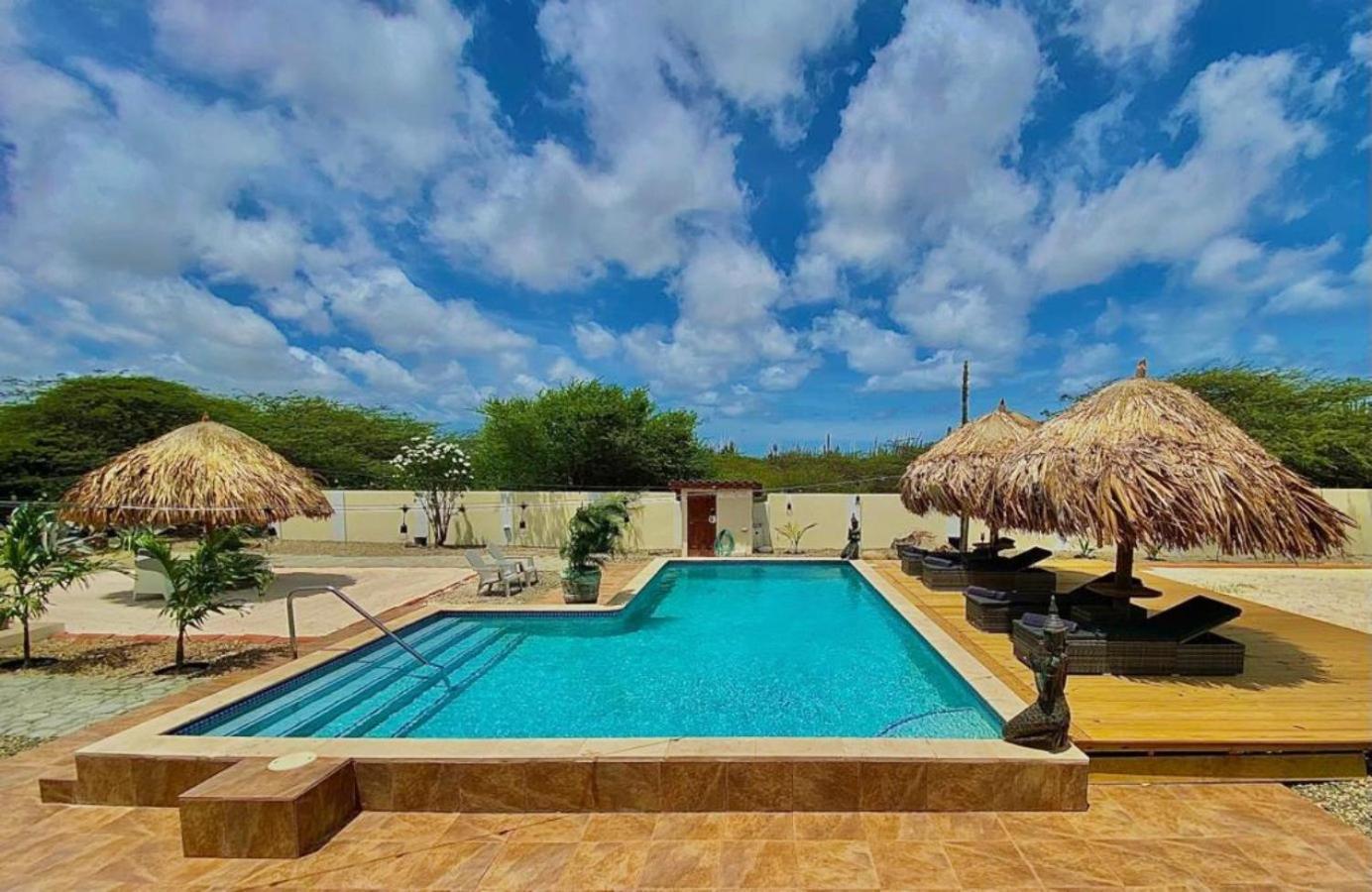 Pura Vida Aruba Appartement Palma Noord Exteriör bild