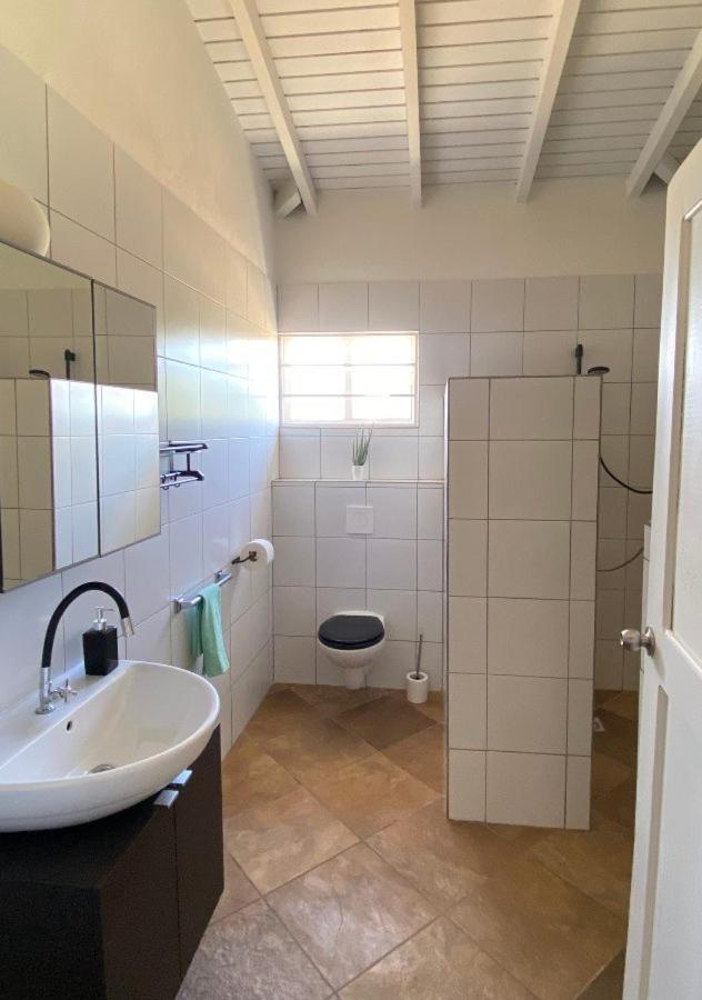 Pura Vida Aruba Appartement Palma Noord Exteriör bild