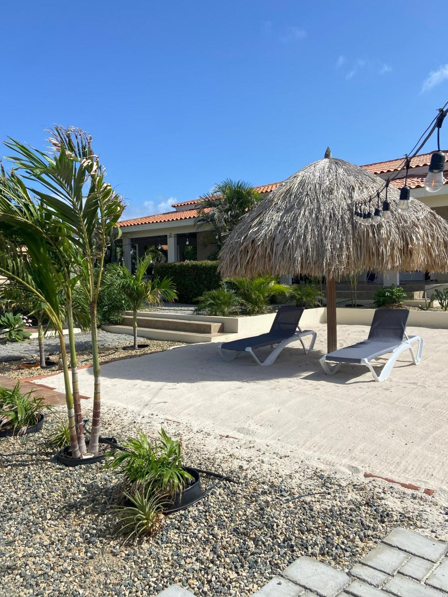 Pura Vida Aruba Appartement Palma Noord Exteriör bild