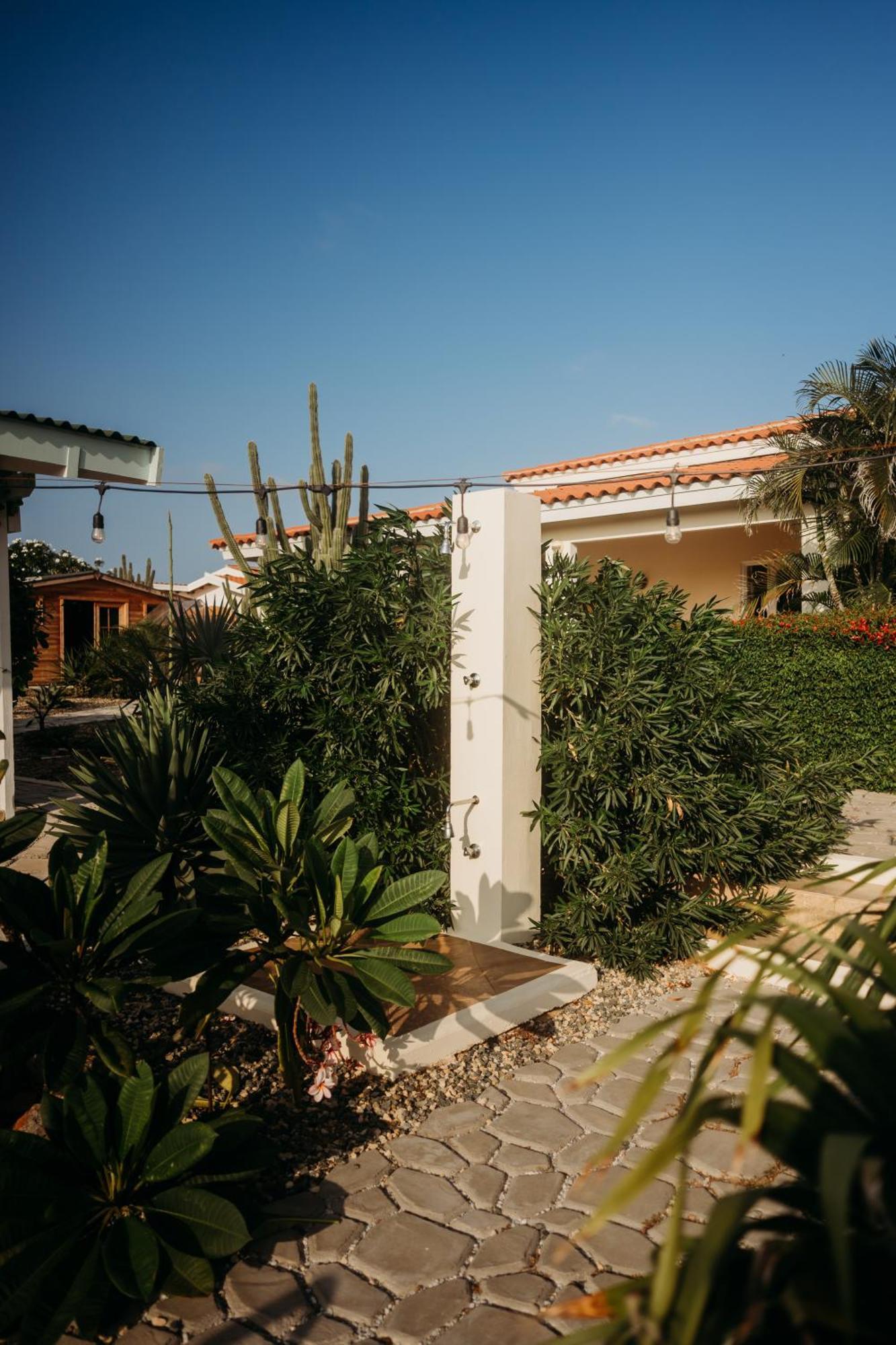 Pura Vida Aruba Appartement Palma Noord Exteriör bild