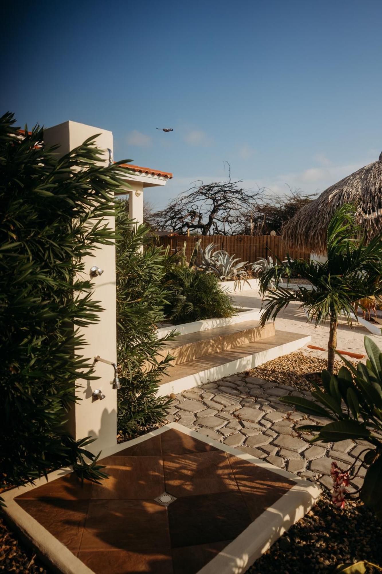 Pura Vida Aruba Appartement Palma Noord Exteriör bild