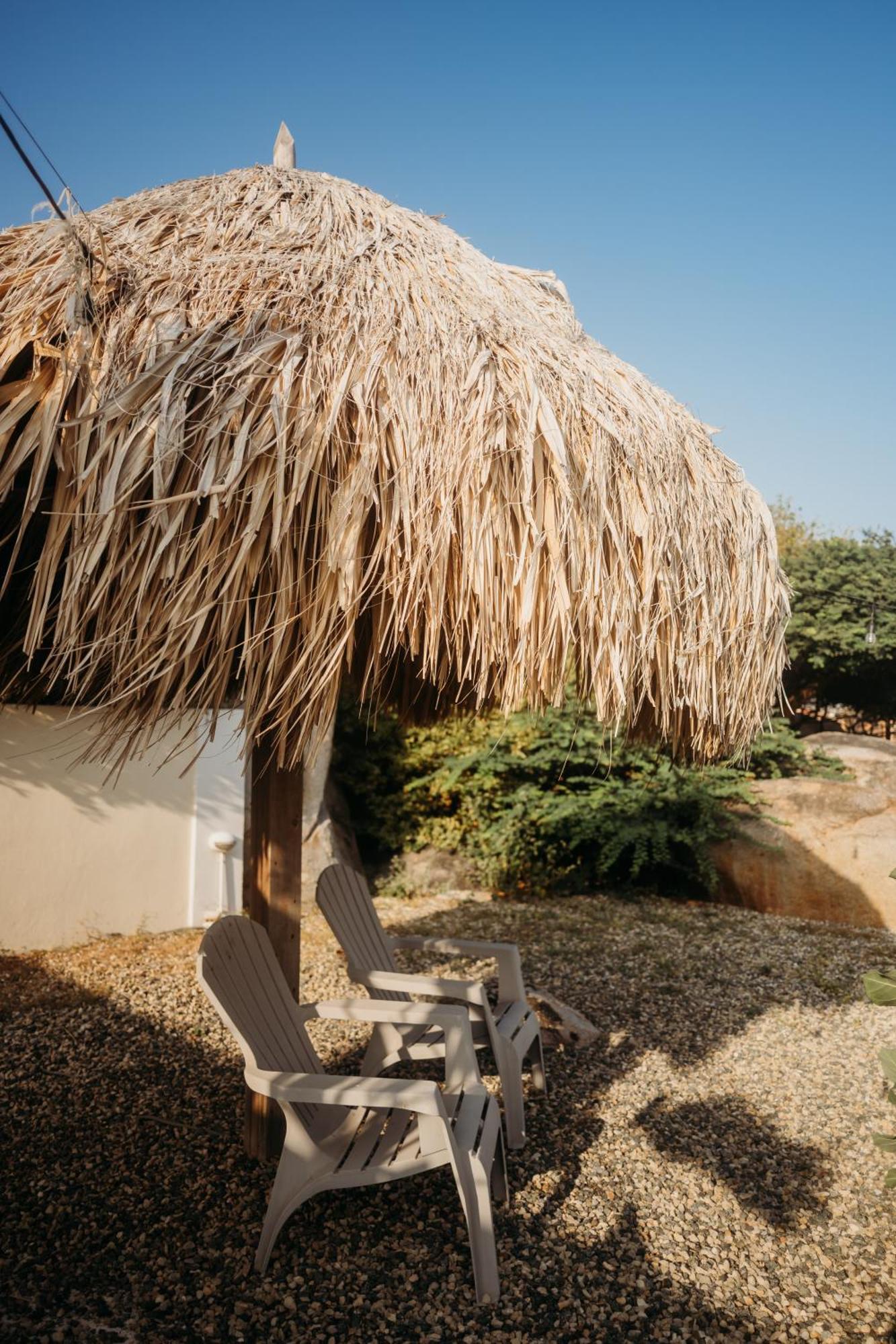 Pura Vida Aruba Appartement Palma Noord Exteriör bild