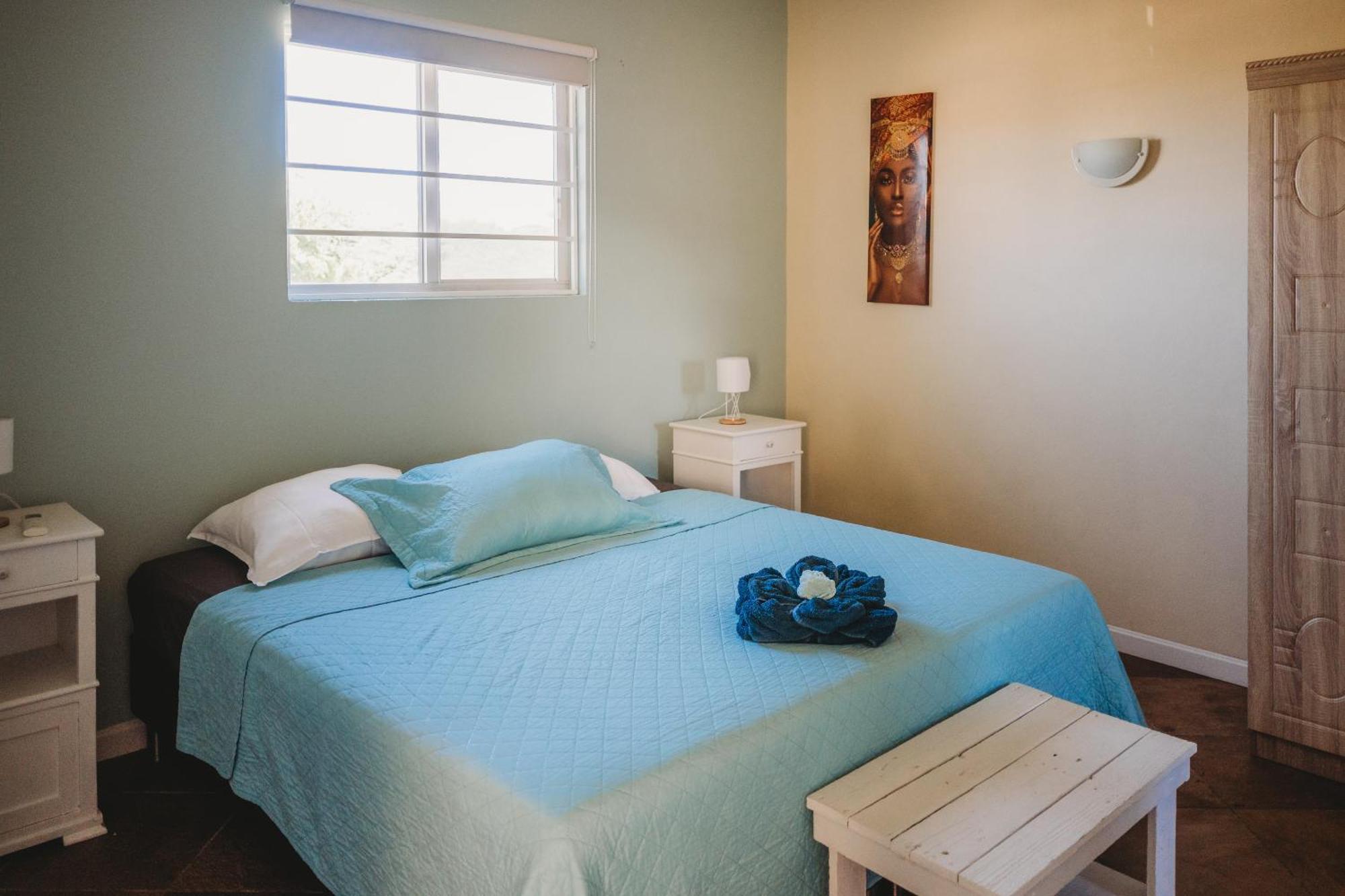 Pura Vida Aruba Appartement Palma Noord Exteriör bild
